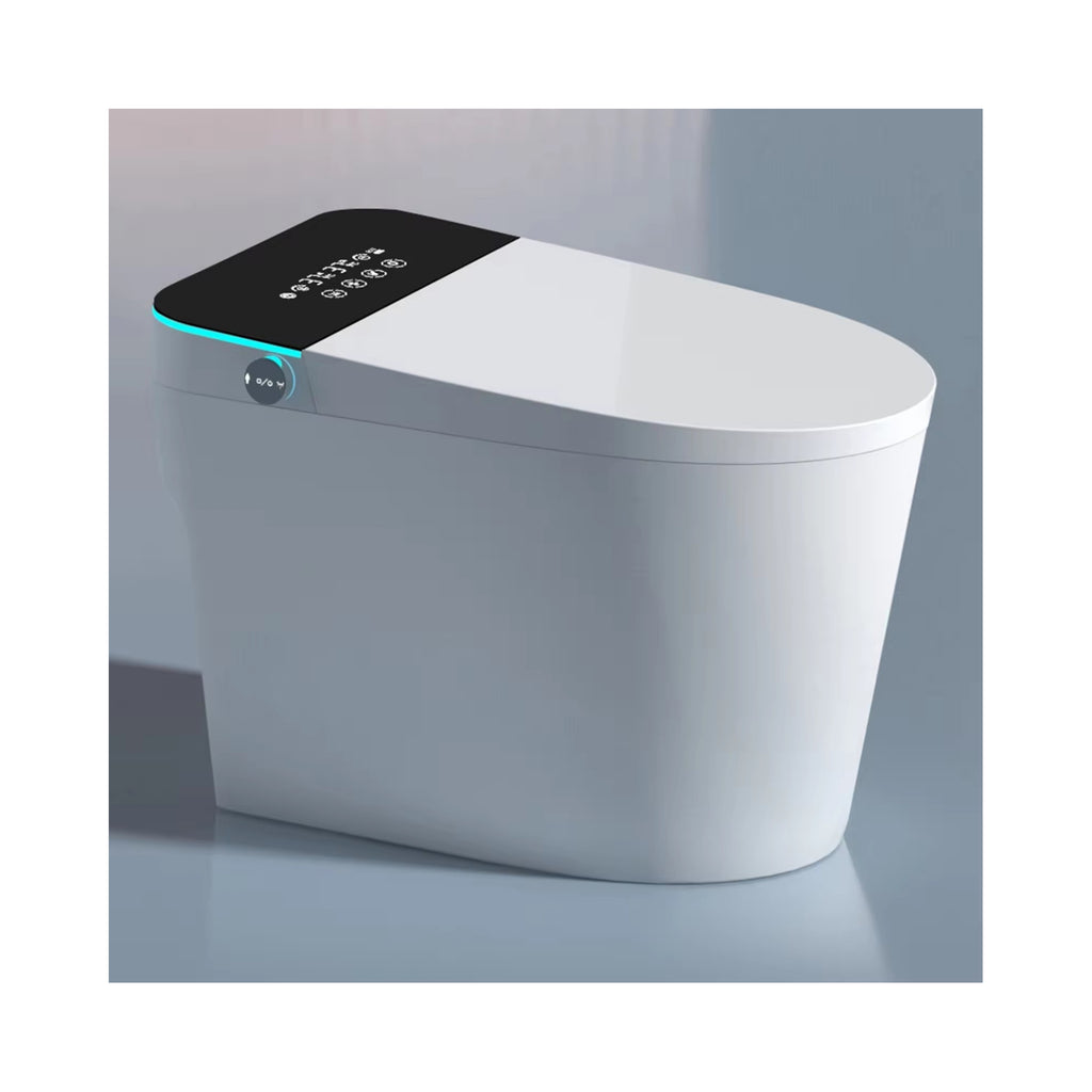Intelligent Sanitary Ware Water Closet Bathroom