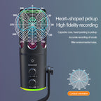 Microphone with Studio Vocal Condenser