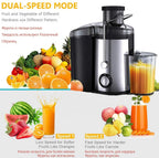RAF Juice Extractor R.2811