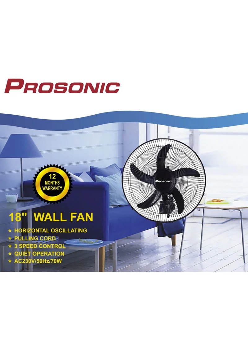Prosonic 18" Pull-Cord Wall Fan